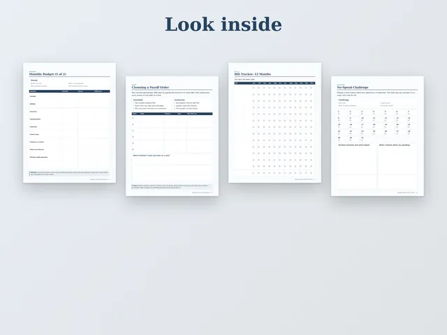 Budget & Debt Payoff Planner preview
