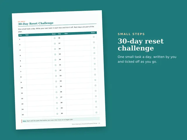 Zone Cleaning & Household Routines Binder preview